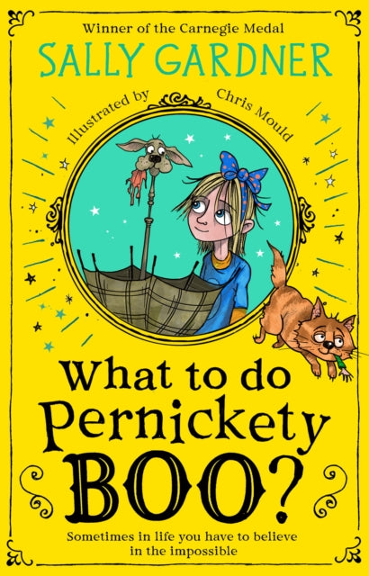 What To Do, Pernickety Boo?: Book 2 by Sally Gardner