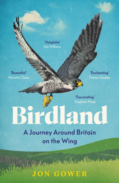 Birdland: A Journey Around Britain on the Wing by Jon Gowe