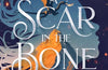 A Scar in the Bone by Sophie Jordan