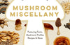 Mushroom Miscellany: An Illustrated Guide Featuring Fun Facts, Mushroom Profiles, Recipes & More by Adele Nozedar