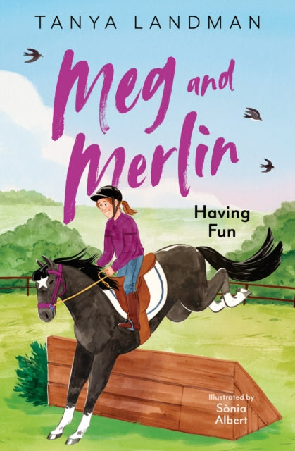 Meg and Merlin: Having Fun: Book 4 by Tanya Landman