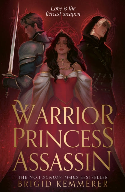 Warrior Princess Assassin by Brigid Kemmerer
