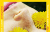 Dandelion is Dead by Rosie Storey