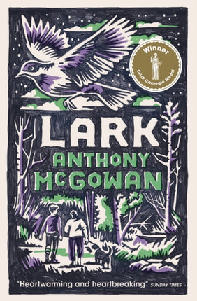 Collection image for: Books for 11+