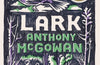 Lark: Book 4 by Anthony McGowan