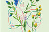 Same by Hannah Rosenberg (PRE-ORDER)
