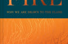 Fire: Why We are Drawn to the Flame by Richard Skrein