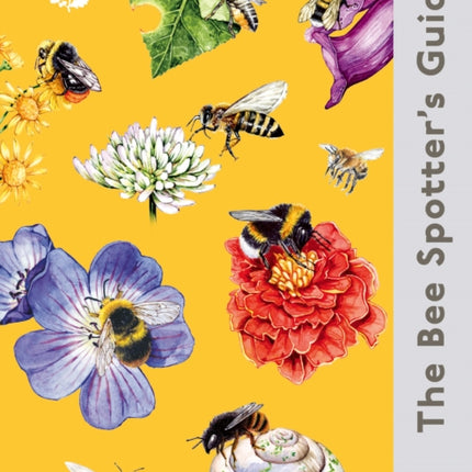 Collection image for: Birds & Wildlife