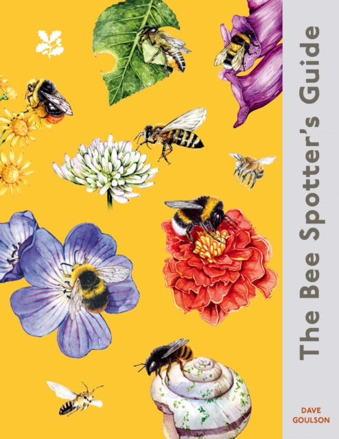 The Bee-Spotter’s Guide by Dave Goulson