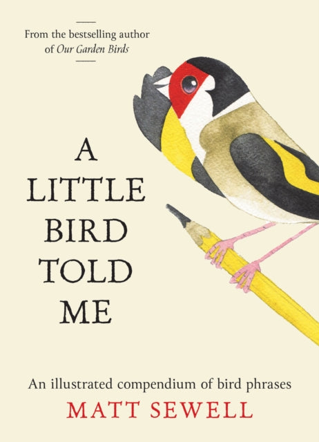 A Little Bird Told Me: An Illustrated Compendium of Bird Phrases by Matt Sewell