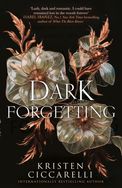 A Dark Forgetting by Kristen Ciccarelli