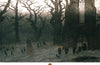 Gothic Tales by Elizabeth Gaskell
