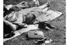 Love and Summer by William Trevor