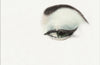 A Spy In The House Of Love by Anais Nin