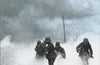 Storm of Steel by Ernst Junger