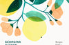 Taverna: Recipes from a Cypriot Kitchen by Georgina Hayden