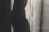 Dark Tales by Shirley Jackson