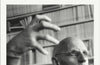 Power: The Essential Works of Michel Foucault 1954-1984 by Michel Foucault