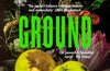 Unsettled Ground by Claire Fuller