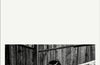 Because They Wanted To by Mary Gaitskill