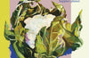 The Whole Vegetable by Sophie Gordon