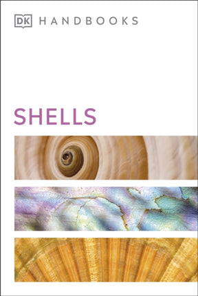 Collection image for: Sea life & the seashore
