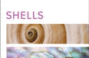 Shells