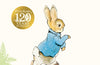 The Tale of Peter Rabbit Picture Book by Beatrix Potter