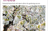Grow Trees: Essential Know-how and Expert Advice for Gardening Success by Zia Allaway