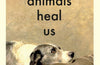 How Animals Heal Us by Jay Griffiths (SIGNED)