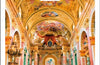 DK Eyewitness Top 10 Vienna