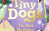 Tiny Dogs: The Best Birthday Party by Rose Lihou