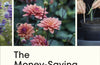 The Money-Saving Gardener: Create Your Dream Garden at a Fraction of the Cost by Anya Lautenbach