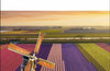 DK Eyewitness The Netherlands