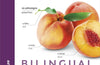Portuguese-English Bilingual Visual Dictionary