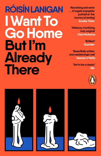 I Want To Go Home But I'm Already There by Roisin Lanigan