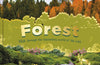 Forest: Walk Through the Fascinating World of the Wild (PRE-ORDER)