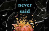 Everything We Never Said by Sloan Harlow