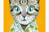 Frankie by Jochen Gutsch & Maxim Leo (PRE-ORDER)
