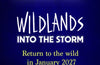 Wildlands: Into the Storm by Brogen Murphy