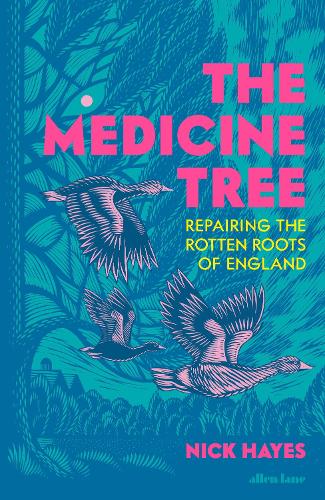 The Medicine Tree: Repairing the Rotten Roots of England by Nick Hayes