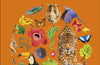 Eyewonder Rainforest: Open Your Eyes to a World of Discovery