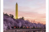 DK Top 10 Washington, DC