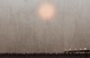 Seascraper by Benjamin Wood (PRE-ORDER)