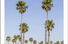DK Top 10 Los Angeles