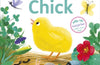Pop-up Peekaboo! Chick