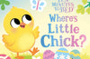 Ten Minutes to Bed: Where's Little Chick?: A magical lift-the-flap book by Rhiannon Fielding