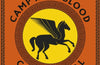 Camp Half-Blood Confidential (Percy Jackson and the Olympians) by Rick Riordan