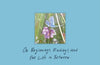 The Butterfly Season: On Beginnings, Endings, and the Life in Between by Lea Korsgaard