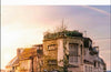 DK Paris